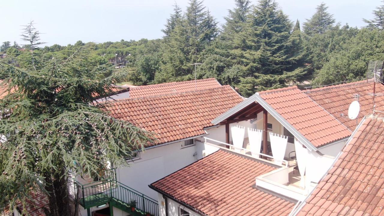 Katoro Apartment *